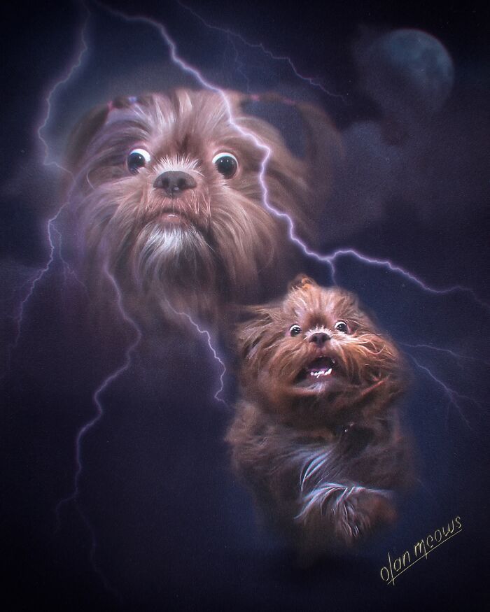 Retratos de animais em estilo anos 80 estão transformando pets em verdadeiras estrelas (32 fotos) 6 Retratos de animais em estilo anos 80 estão transformando pets em verdadeiras estrelas (32 fotos) 6