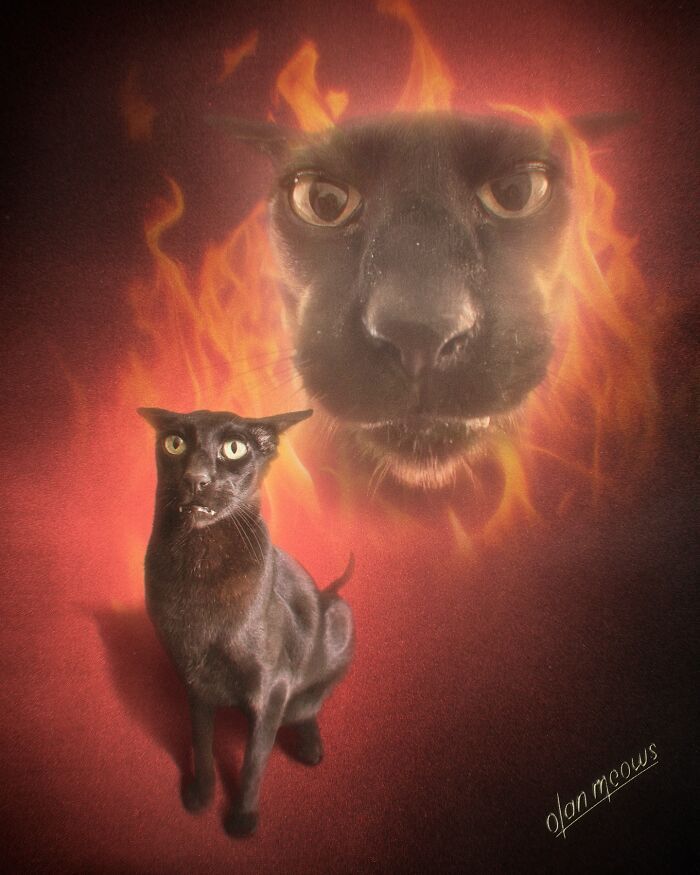 Retratos de animais em estilo anos 80 estão transformando pets em verdadeiras estrelas (32 fotos) 8 Retratos de animais em estilo anos 80 estão transformando pets em verdadeiras estrelas (32 fotos) 8