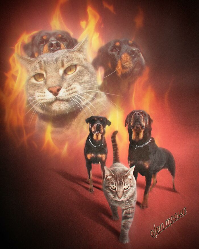 Retratos de animais em estilo anos 80 estão transformando pets em verdadeiras estrelas (32 fotos) 14 Retratos de animais em estilo anos 80 estão transformando pets em verdadeiras estrelas (32 fotos) 14