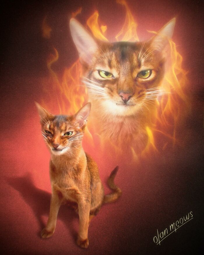 Retratos de animais em estilo anos 80 estão transformando pets em verdadeiras estrelas (32 fotos) 18 Retratos de animais em estilo anos 80 estão transformando pets em verdadeiras estrelas (32 fotos) 18