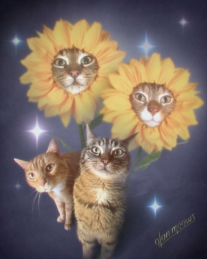 Retratos de animais em estilo anos 80 estão transformando pets em verdadeiras estrelas (32 fotos) 22 Retratos de animais em estilo anos 80 estão transformando pets em verdadeiras estrelas (32 fotos) 22