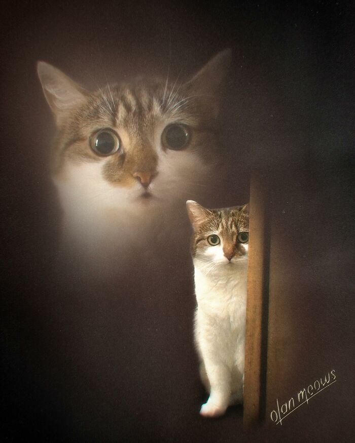Retratos de animais em estilo anos 80 estão transformando pets em verdadeiras estrelas (32 fotos) 23 Retratos de animais em estilo anos 80 estão transformando pets em verdadeiras estrelas (32 fotos) 23