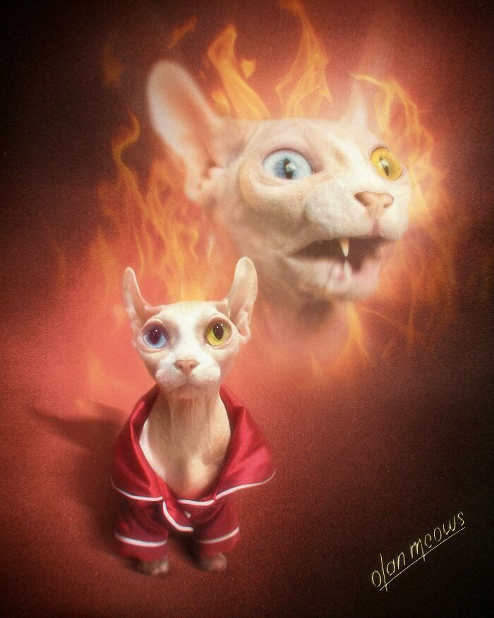 Retratos de animais em estilo anos 80 estão transformando pets em verdadeiras estrelas (32 fotos) 27 Retratos de animais em estilo anos 80 estão transformando pets em verdadeiras estrelas (32 fotos) 27