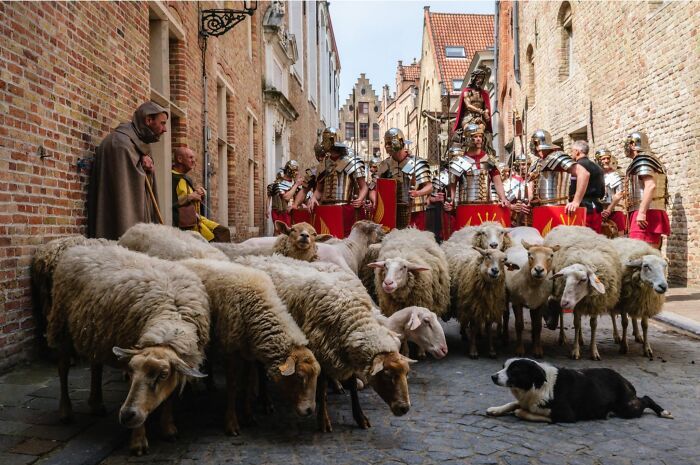 Animais em fotografias de rua que parecem ter sido colocados ali de propósito (26 fotos) 15
