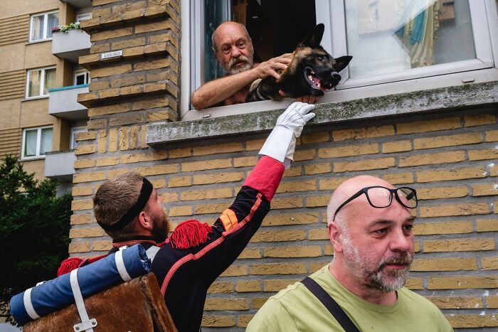 Animais em fotografias de rua que parecem ter sido colocados ali de propósito (26 fotos) 22
