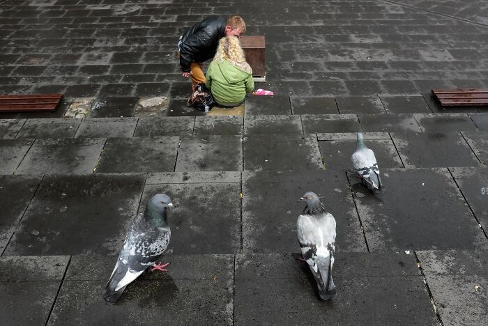 Animais em fotografias de rua que parecem ter sido colocados ali de propósito (26 fotos) 25