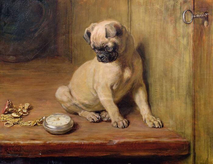 Cães em pinturas que mostram por que a amizade entre humanos e cachorros é tão especial (30 fotos) 2