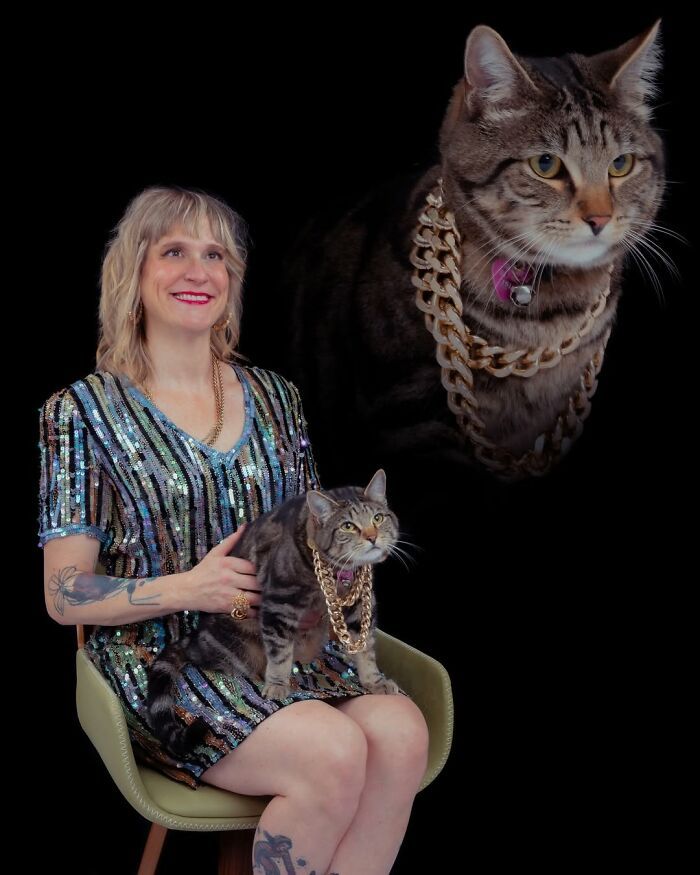 Fotografia criativa de animais de estimação: essas imagens parecem pinturas, mas escondem algo inesperado (32 fotos) 9