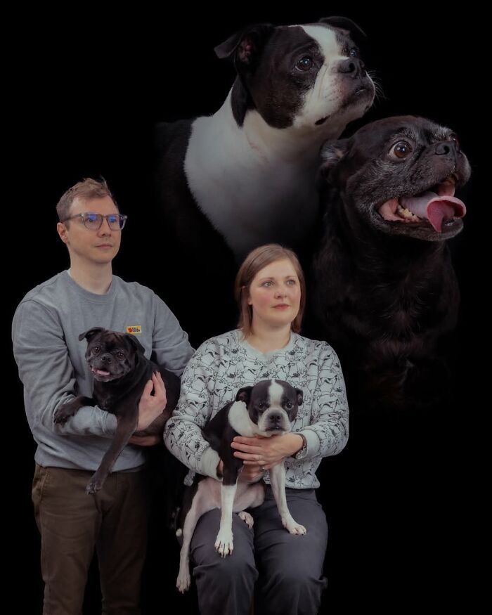 Fotografia criativa de animais de estimação: essas imagens parecem pinturas, mas escondem algo inesperado (32 fotos) 10
