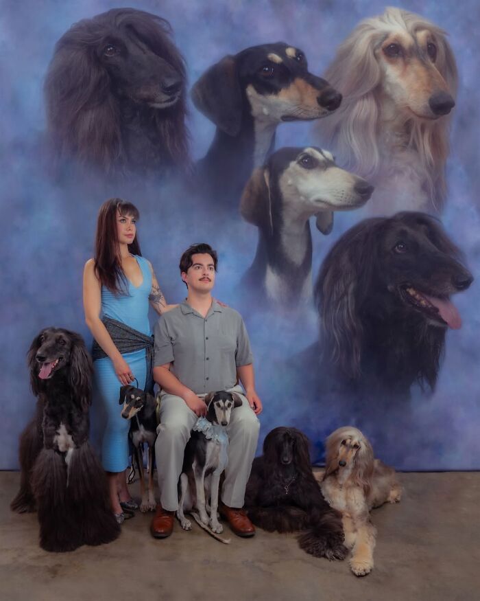 Fotografia criativa de animais de estimação: essas imagens parecem pinturas, mas escondem algo inesperado (32 fotos) 12