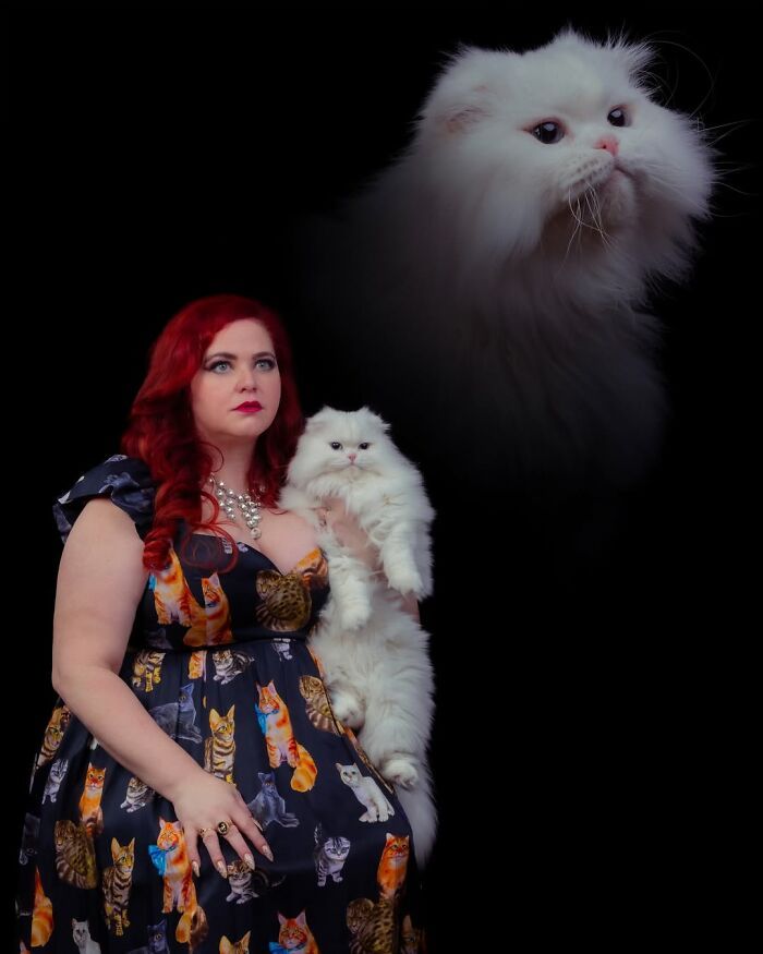 Fotografia criativa de animais de estimação: essas imagens parecem pinturas, mas escondem algo inesperado (32 fotos) 22