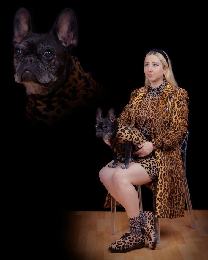 Fotografia criativa de animais de estimação: essas imagens parecem pinturas, mas escondem algo inesperado (32 fotos) 25