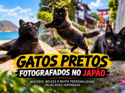 Gatos pretos fotografados no Japão mostram um lado que ninguém espera (34 fotos)
