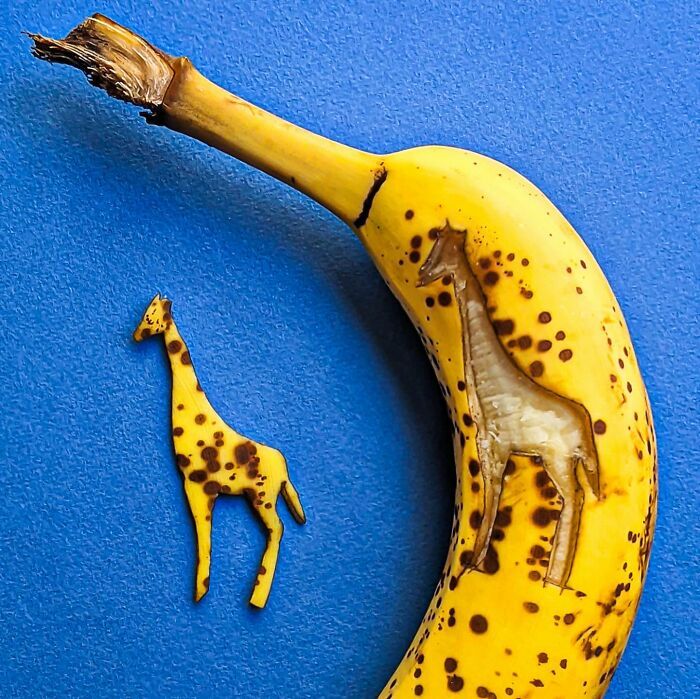 Objetos do cotidiano transformados em arte: quando uma simples linha muda tudo Objetos do cotidiano transformados em arte: quando uma simples linha muda tudo