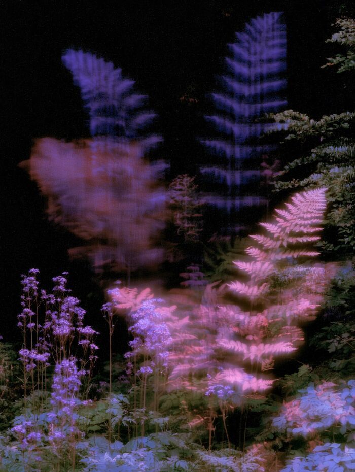 27 obras de arte digital surrealista que transformam paisagens reais em sonhos 11 27 obras de arte digital surrealista que transformam paisagens reais em sonhos 11