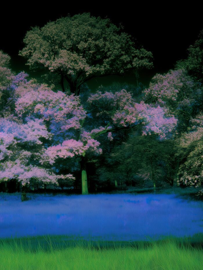27 obras de arte digital surrealista que transformam paisagens reais em sonhos 14 27 obras de arte digital surrealista que transformam paisagens reais em sonhos 14