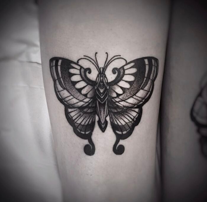 15 tatuagens de borboletas que encantam e revelam curiosidades surpreendentes sobre esses insetos 4 15 tatuagens de borboletas que encantam e revelam curiosidades surpreendentes sobre esses insetos 4