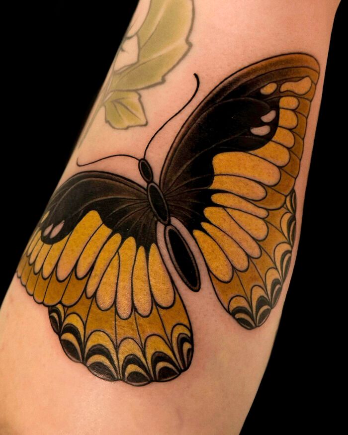 15 tatuagens de borboletas que encantam e revelam curiosidades surpreendentes sobre esses insetos 7 15 tatuagens de borboletas que encantam e revelam curiosidades surpreendentes sobre esses insetos 7