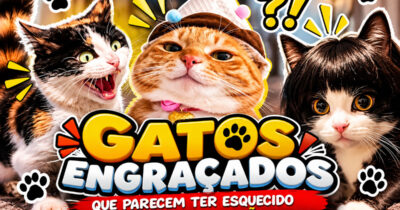 Gatos engraçados que parecem ter esquecido completamente que são gatos (29 fotos)